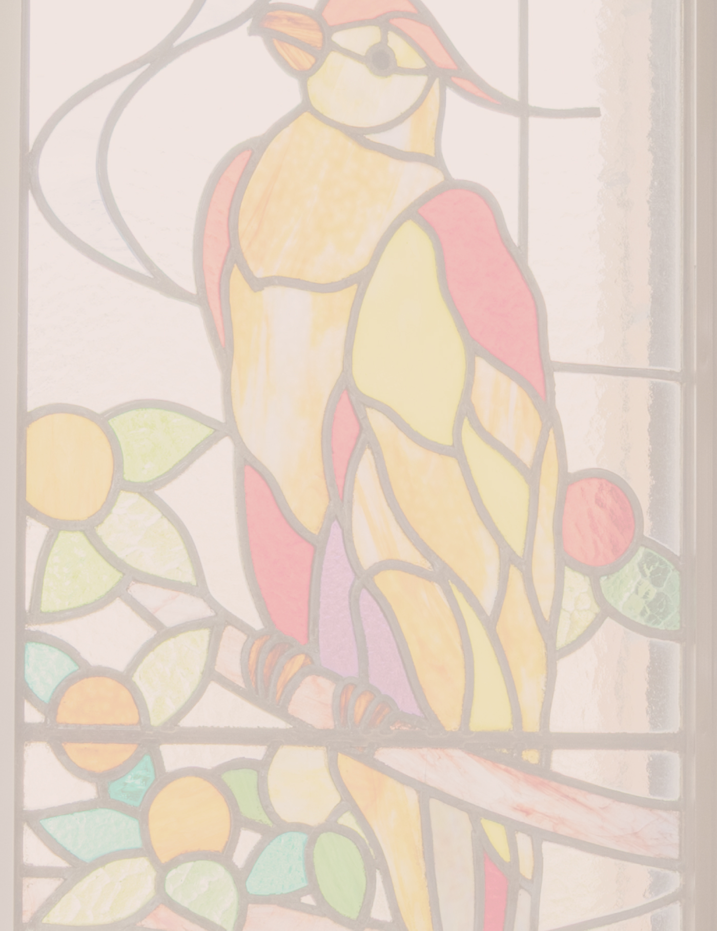 診療案内背景画像